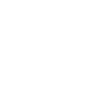 Icon Checkliste